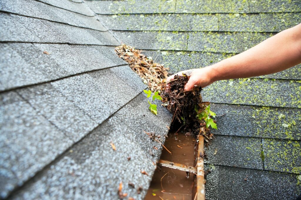 cleaning build up of leaves and dirt in edinburgh gutter