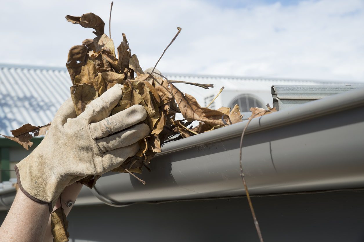 residential property gutter clogged with dry leaves
