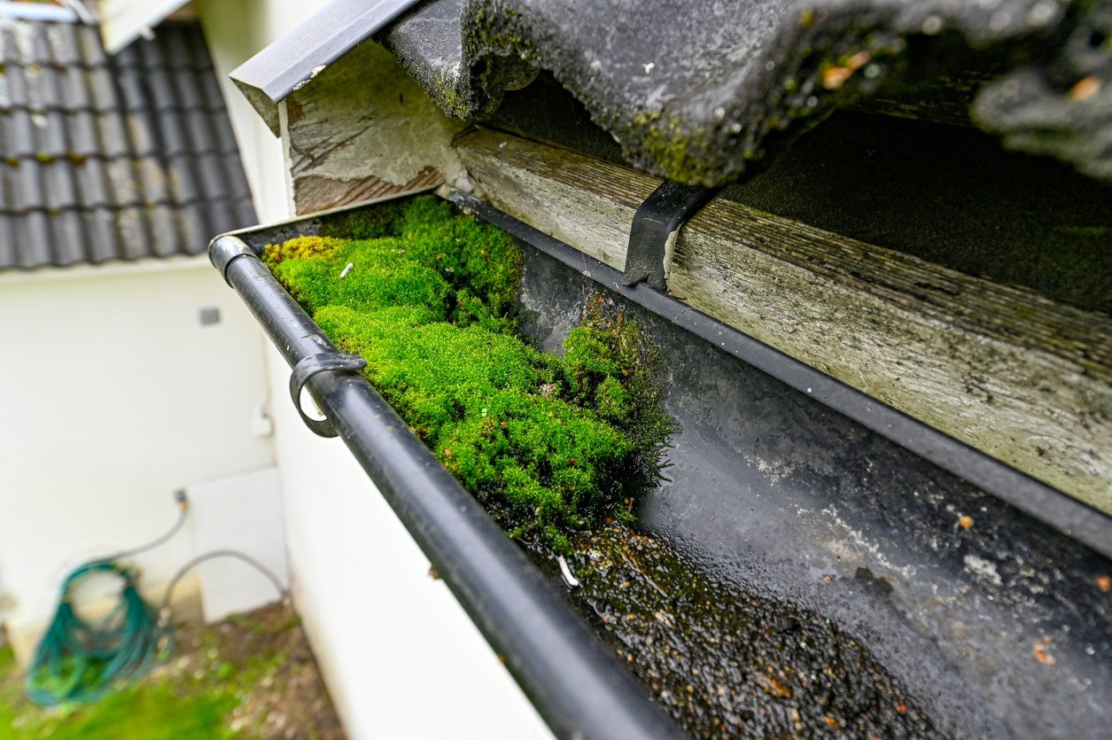 Signs Your Gutters Need Cleaning