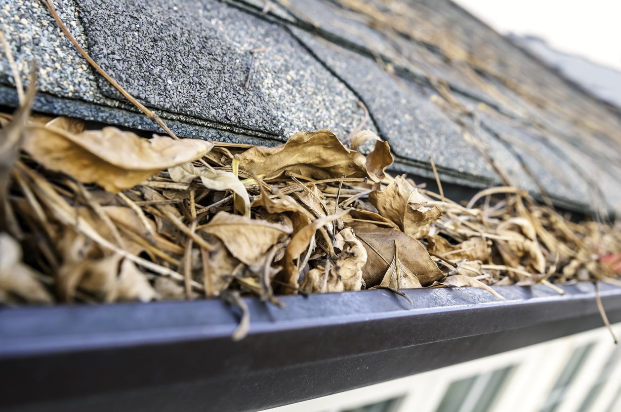 Why You Should Clean Your Gutters Regularly