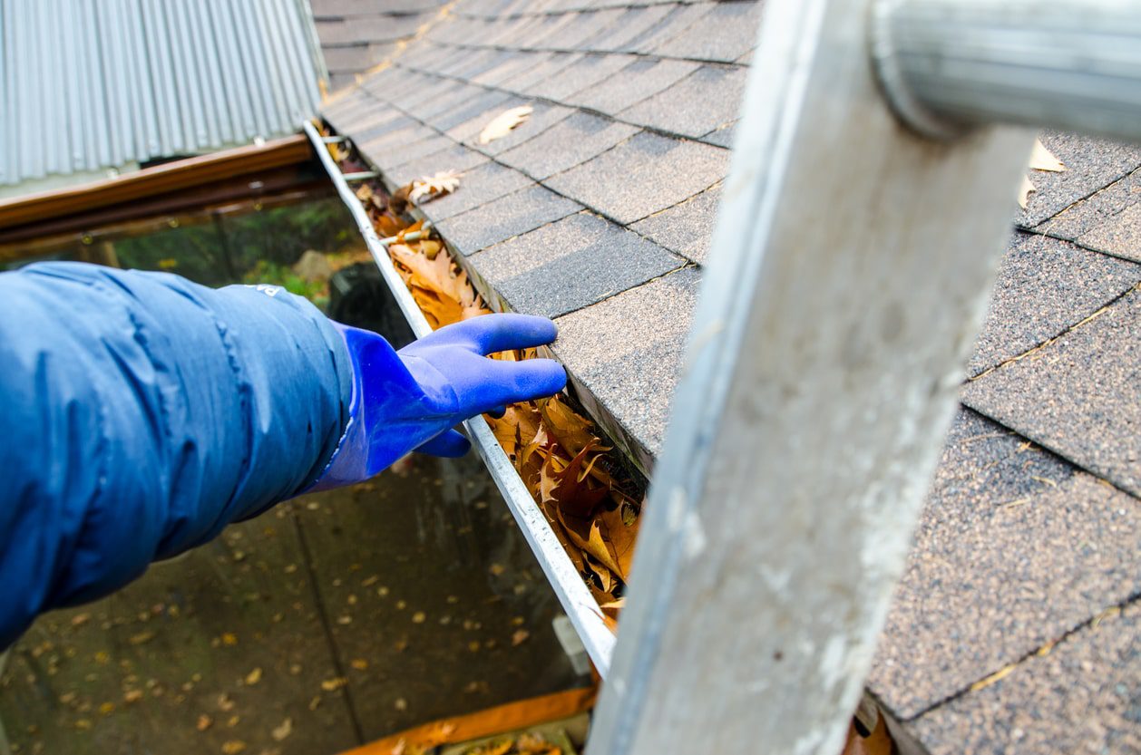 professional wearing gloves removing leaf debris from gutter