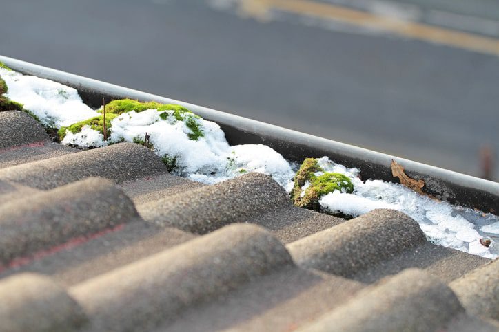 Seasonal Exterior Cleaning Tips for Your Edinburgh Property