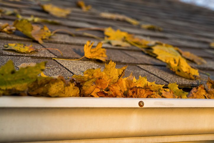 autumn sun highlighting gutters that require leaf clear up