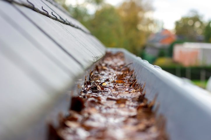blocked gutter after strong wind and heavy rainfall